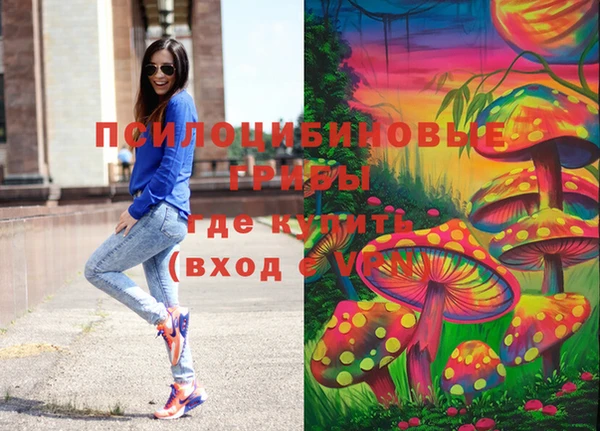 соль ск Алзамай