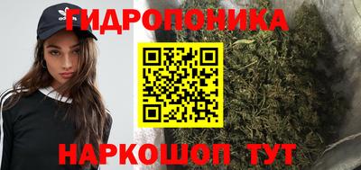 индика Партизанск